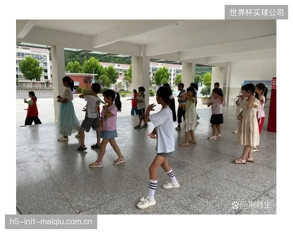 純粹依賴志願者的體育公益項目，其管理瓶頸已然顯現，專業化運營必須提上日程